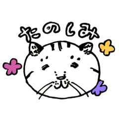 [LINEスタンプ] おしゃべりチャミさん