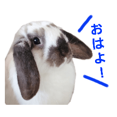 [LINEスタンプ] 耳垂れちゃん