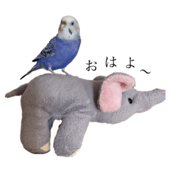 [LINEスタンプ] セキセイインコはるの日常①