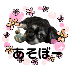 [LINEスタンプ] I love PET 2