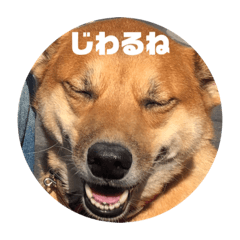 [LINEスタンプ] バイスのスタンプ