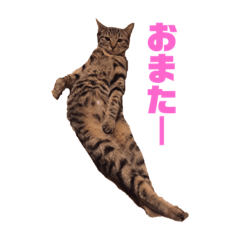 [LINEスタンプ] スモモのスタンプ