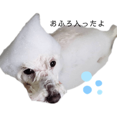 [LINEスタンプ] り ぽぽ