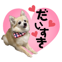 [LINEスタンプ] 今日も元気なりんちゃん