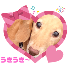[LINEスタンプ] れおさんスタンプ⑤