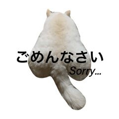 [LINEスタンプ] わんわんわんわん1