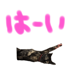 [LINEスタンプ] おととスタンプ♪
