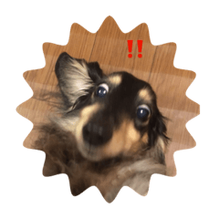 [LINEスタンプ] Elsemileすみれなど①