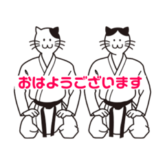 [LINEスタンプ] 空手猫さん2