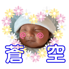 [LINEスタンプ] 蒼空(そうすけ)