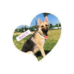 [LINEスタンプ] ラッキーの子犬達