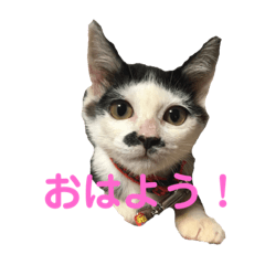 [LINEスタンプ] コマ達のスタンプ