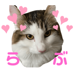 [LINEスタンプ] 上田しのん