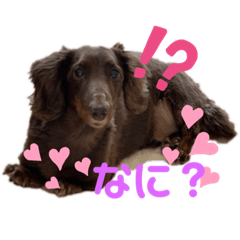 [LINEスタンプ] まかろんくんの1日。