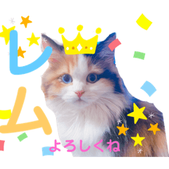 [LINEスタンプ] オッドアイのレムちゃん【スタンプ】