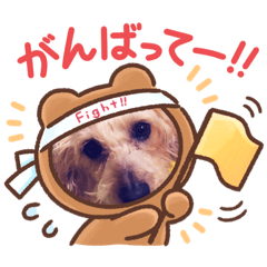 [LINEスタンプ] くうちゃん第2弾