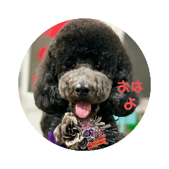 [LINEスタンプ] まいにちニーノ
