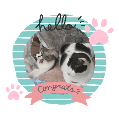 [LINEスタンプ] ほっこりニャンズ2