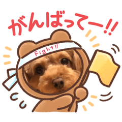 [LINEスタンプ] ここあのスタンプだよ〜(๐›ω‹๐)੭