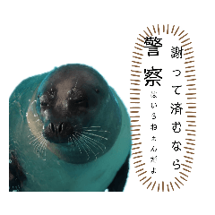 [LINEスタンプ] ゴマフアザラシの日常