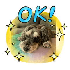 [LINEスタンプ] KOHくん