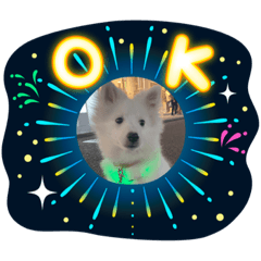 [LINEスタンプ] スピッツ ロイくんスタンプ