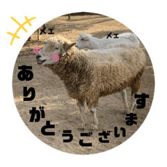 [LINEスタンプ] いやしのどうぶつたち