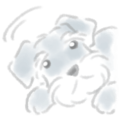 [LINEスタンプ] シュナウザーの敬語スタンプ