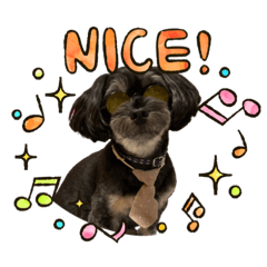 [LINEスタンプ] I lovePET 1