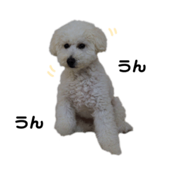 [LINEスタンプ] りぽこたち