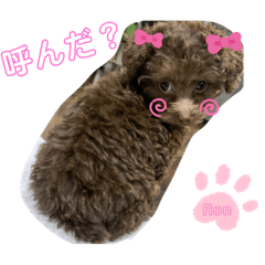 [LINEスタンプ] Ronお姫の愉快な毎日