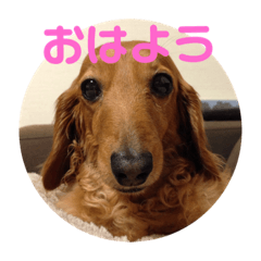 [LINEスタンプ] あず婆ちゃん
