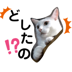 [LINEスタンプ] ふくちゃんといっしょ❤︎3