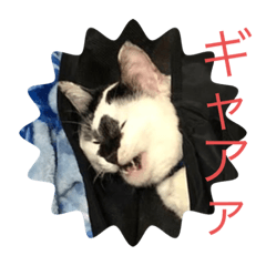 [LINEスタンプ] もうスタンプ