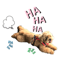 [LINEスタンプ] PEACE loves peace  2