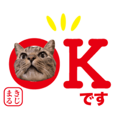 [LINEスタンプ] KIJIMARU スタンプ Part4_改訂
