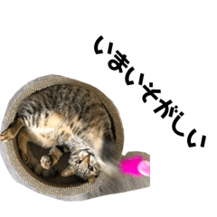[LINEスタンプ] てと1