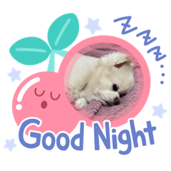 [LINEスタンプ] 街の人気者raimukun