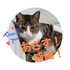[LINEスタンプ] ぺぺのすたんぷ二号