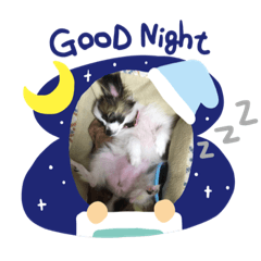 [LINEスタンプ] モコ✩