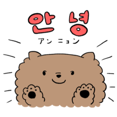 [LINEスタンプ] 韓国のポメラニアンのチョコちゃんスタンプ