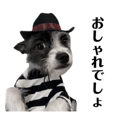 [LINEスタンプ] おしゃれ風のJackくん