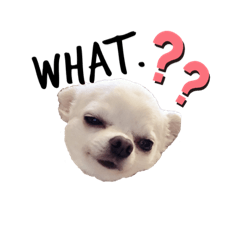 [LINEスタンプ] NICORO's 256