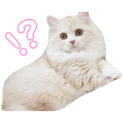 [LINEスタンプ] mugi stamp ①