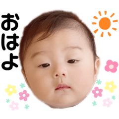 [LINEスタンプ] コタロちゃんの日常。
