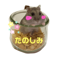 [LINEスタンプ] ハムスターのうめずい