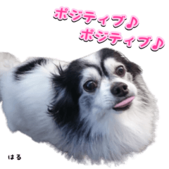 [LINEスタンプ] Maと愉快な仲間たち