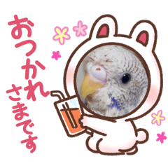 [LINEスタンプ] Mao inko