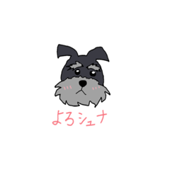 [LINEスタンプ] シュナです