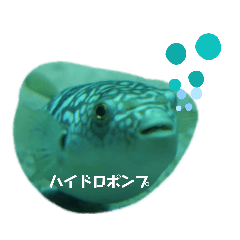 [LINEスタンプ] 孤独なムシフグ君